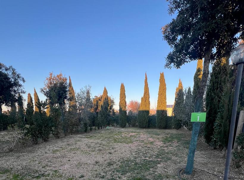 Giardino con cipressi, cielo sereno e cartello verde con numero uno.
